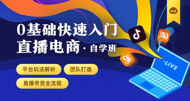 0基础快速入门直播电商课程：直播平台玩法解析-团队打造-带货全流程等环节-小齐资源库