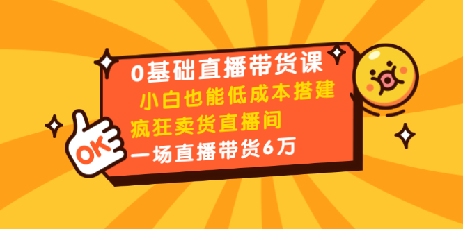 0基础直播带货课：小白也能低成本搭建疯狂卖货直播间：1场直播带货6万-小齐资源库