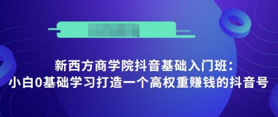 抖音基础入门班：小白0基础学习打造一个高权重赚钱的抖音号-小齐资源库