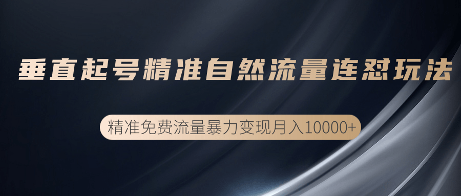 垂直起号精准自然流量连爆玩法，精准引流暴力变现月入10000+-小齐资源库