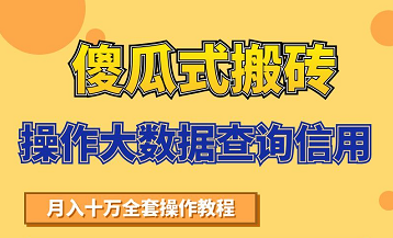 搬砖操作大数据查询信用项目赚钱教程，祝你快速月入6万-小齐资源库