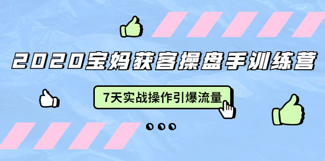 2020宝妈获客操盘手训练营：7天实战操作引爆 母婴、都市、购物宝妈流量-小齐资源库