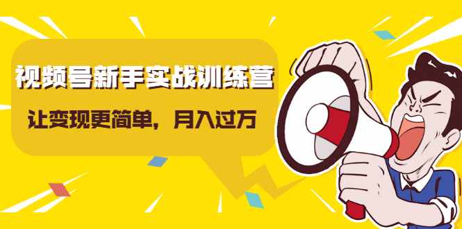 视频号新手实战训练营，让变现更简单，玩赚视频号，轻松月入过万-小齐资源库