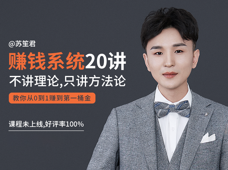 苏笙君的赚钱系统20课 教你从0到1赚到你的第一桶金（不讲理论，只讲方法论）-小齐资源库