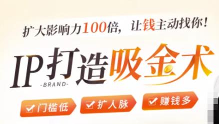 IP打造吸金术：0基础0资源，也能扩大影响力100倍，让钱主动找你！-小齐资源库