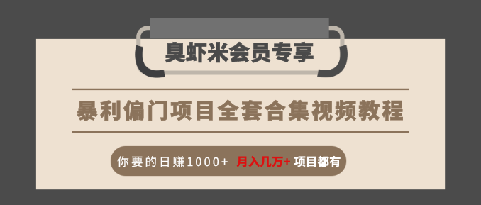 暴利偏门项目全套合集视频教程：你要的日赚1000+月入几万+项目都有-小齐资源库