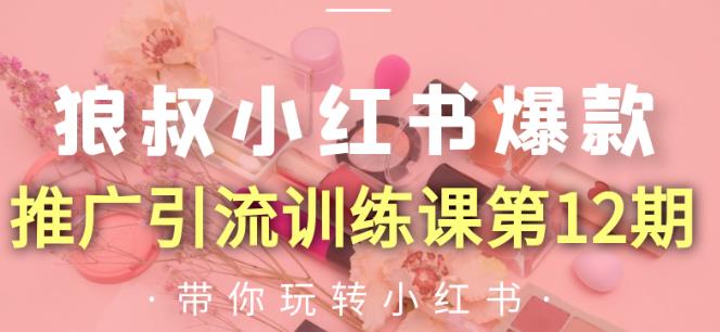 狼叔小红书爆款推广引流训练课第12期，手把手带你玩转小红书-小齐资源库