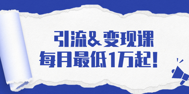 引流&变现课：分享一整套流量方法以及各个渠道收入，每月最低1万起！-小齐资源库