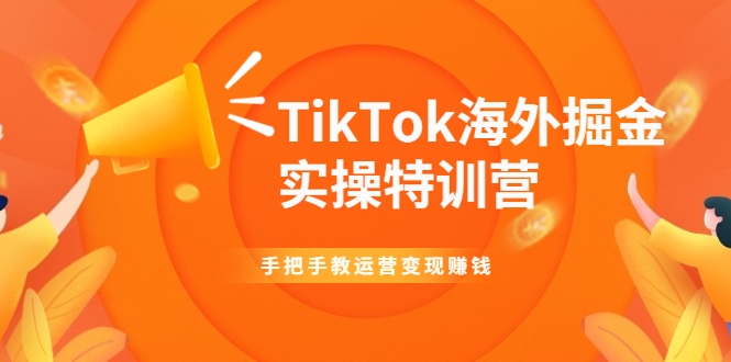 TikTok海外掘金实操特训营：手把手教运营变现赚钱-小齐资源库