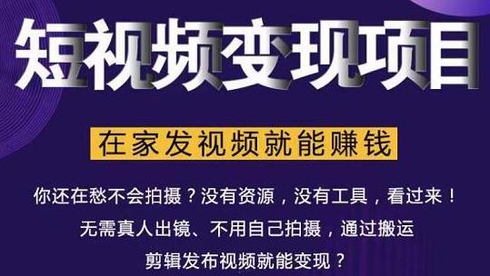 在家也能操作的短视频赚钱项目，无需真人，不用拍摄，纯搬运月入2到5万-小齐资源库