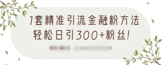1套精准引流金融粉方法，轻松日引300+粉丝-小齐资源库
