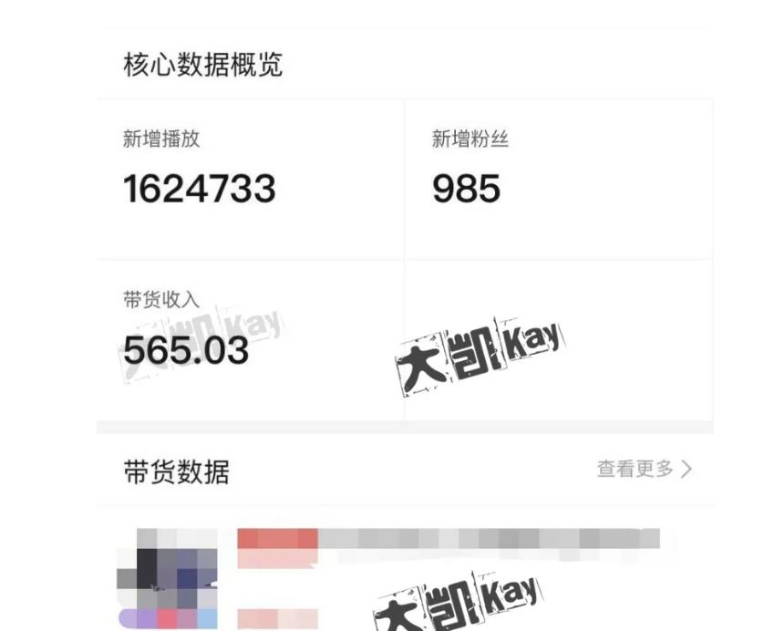 大凯进阶圈新玩法之拼多多视频玩法，利润大概一个号一天能有500~1500的左右!-小齐资源库