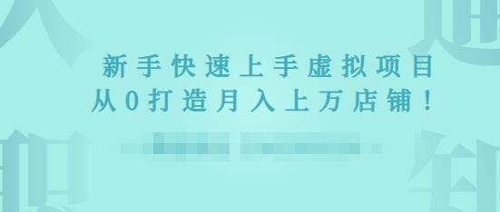 2022年虚拟项目实战指南，新手从0打造月入上万店铺-小齐资源库