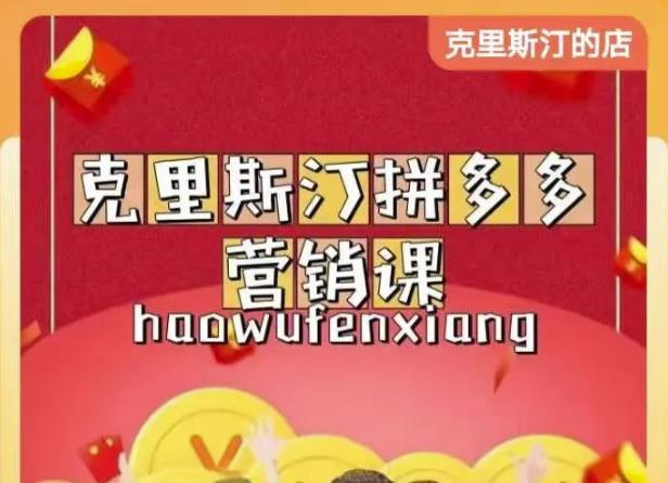 克里斯汀拼多多运营课，适合小白初涉平台，低成本入门-小齐资源库