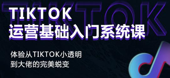 Tiktok实操进阶课程，体验从tiktok小透明到大佬的完美蜕变-小齐资源库