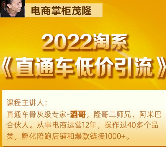 茂隆2022直通车低价引流玩法，教大家如何低投入高回报的直通车玩法-小齐资源库