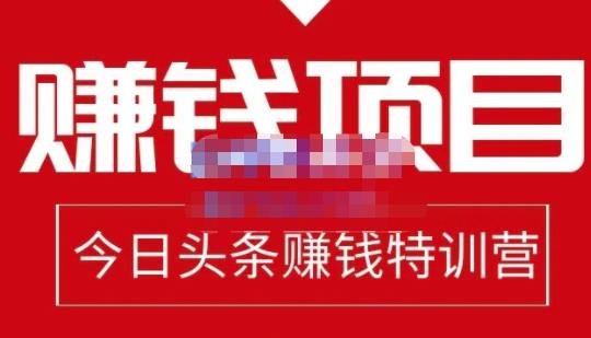 懒人领域·今日头条项目玩法，头条中视频项目，单号收益在50—500可批量-小齐资源库