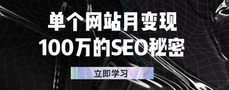 单个网站月变现100万的SEO秘密，百分百做出赚钱站点-小齐资源库