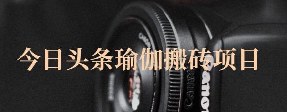 猎人社区·今日头条瑜伽搬砖项目，单号一天几十收入，可以批量操作！-小齐资源库