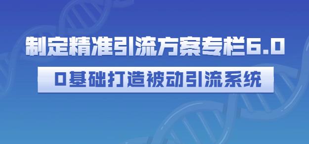 制定精准引流方案专栏6.0，0基础打造被动引流系统-小齐资源库