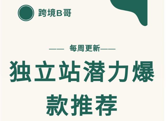 【跨境B哥】独立站潜力爆款选品推荐，测款出单率高达百分之80-小齐资源库