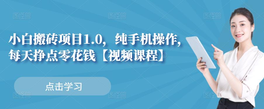 小白搬砖项目1.0，纯手机操作，每天兼职挣点零花钱-小齐资源库