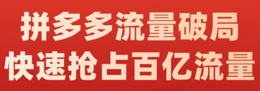 阿杰·拼多多流量破局:如何打黑标，爆款的思路，拼多多流量框架，快速抢占百亿流量-小齐资源库