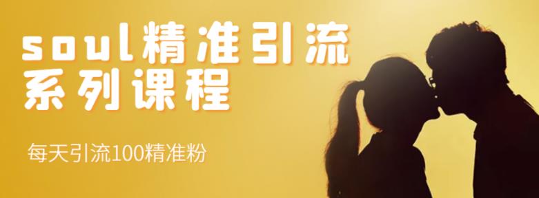soul精准引流系列课程，每天引流100精准粉-小齐资源库