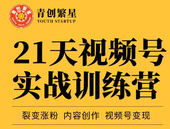 张萌21天视频号实战训练营，裂变涨粉、内容创作、视频号变现 价值298元-小齐资源库