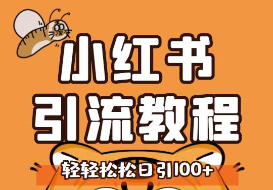小红书运营引流全系列课程，每天引流100精准粉-小齐资源库