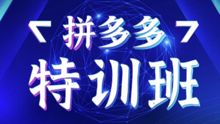 星雪教育·拼多多基础班+进阶班+突破班，用系统的学习模式快速改变现状价值3580元-小齐资源库