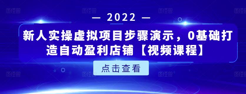 新人实操虚拟项目步骤演示，0基础打造自动盈利店铺【视频课程】-小齐资源库