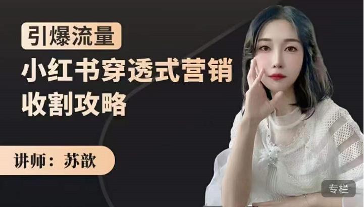 苏歆：小红书穿透式营销收割攻略，引爆流量，助你玩转小红书-小齐资源库