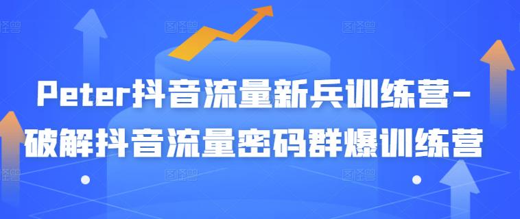 Peter抖音流量新兵训练营-破解抖音流量密码群爆训练营（新兵）-小齐资源库