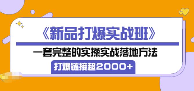 凌童《新品打爆实战班》,一套完整的实操实战落地方法，打爆链接超2000+（28节课)-小齐资源库