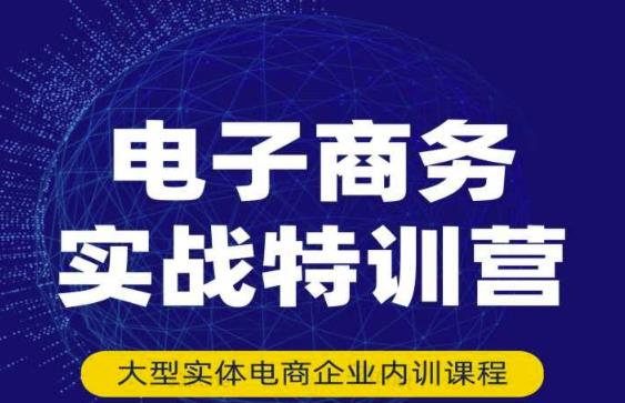 民赛电气内部出品：电子商务实战特训营，全方位带你入门电商，308种方式玩转电商-小齐资源库