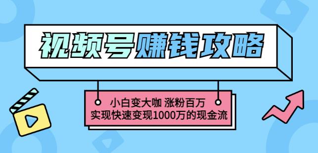玩转微信视频号赚钱：小白变大咖涨粉百万实现快速变现1000万的现金流-小齐资源库