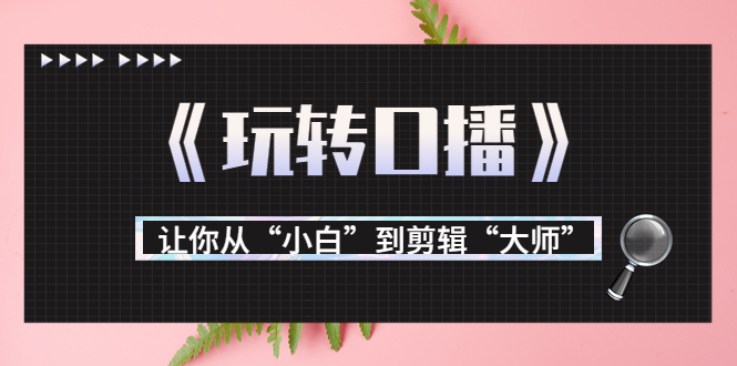 月营业额700万+大佬教您《玩转口播》让你从“小白”到剪辑“大师”-小齐资源库