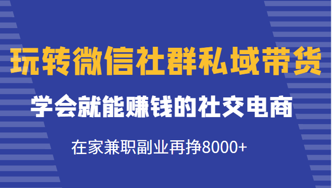 玩转微信社群私域带货，学会就能赚钱的社交电商，在家兼职副业再挣8000+-小齐资源库