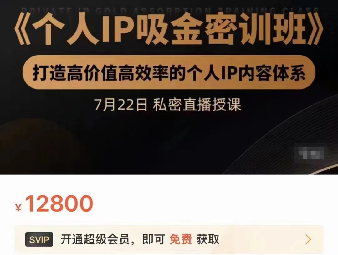 个人IP吸金密训班，打造高价值高效率的个人IP内容体系（价值12800元）-小齐资源库