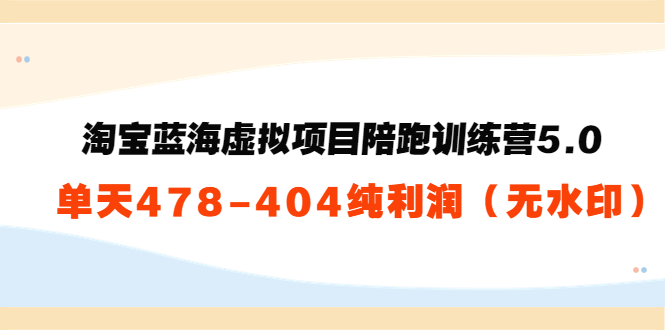 淘宝蓝海虚拟项目陪跑训练营5.0：单天478纯利润-小齐资源库