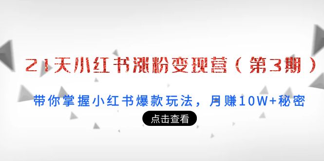 21天小红书涨粉变现营（第3期）：带你掌握小红书爆款玩法，月赚10W+秘密-小齐资源库