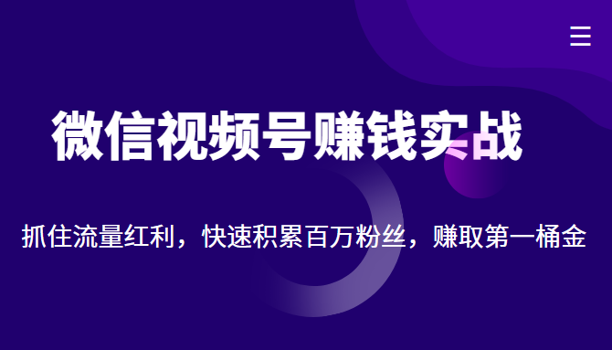 微信视频号赚钱实战：抓住流量红利，快速积累百万粉丝，赚取你的第一桶金-小齐资源库