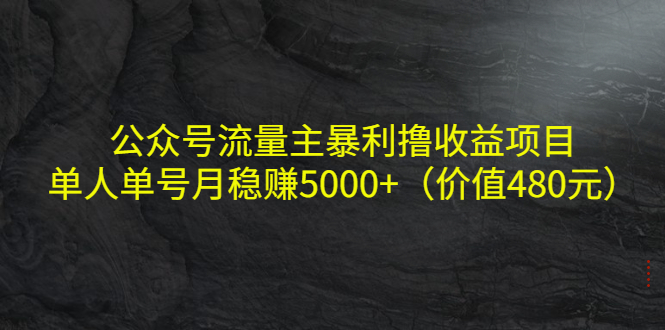 公众号流量主暴利撸收益项目，单人单号月稳赚5000+（价值480元）-小齐资源库