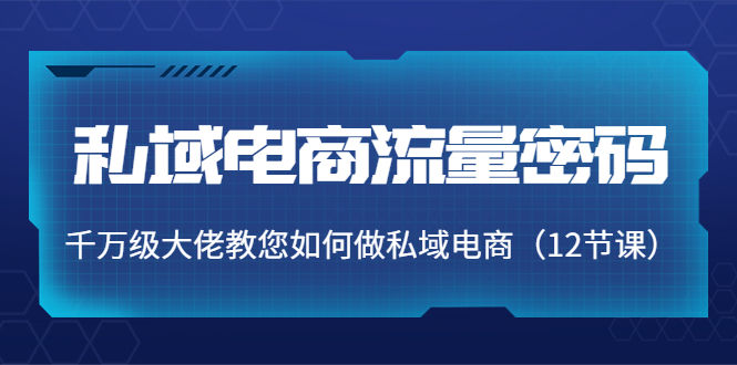 私域电商流量密码：千万级大佬教您如何做私域电商（12节课）-小齐资源库