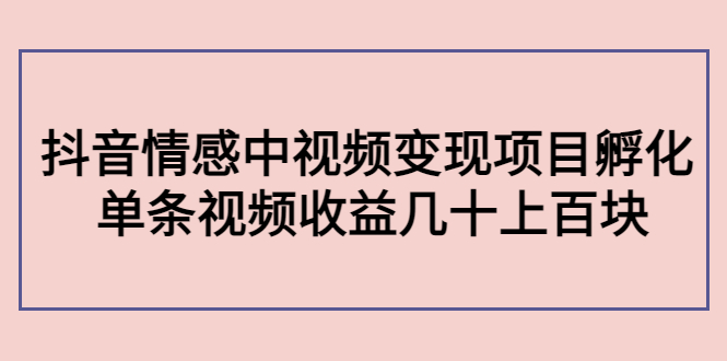 副业孵化营第5期：抖音情感中视频变现项目孵化 单条视频收益几十上百-小齐资源库