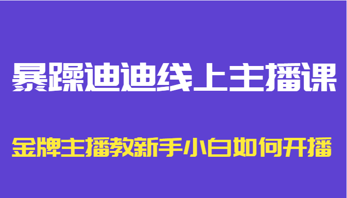 暴躁迪迪线上主播课，金牌主播教新手小白如何开播-小齐资源库
