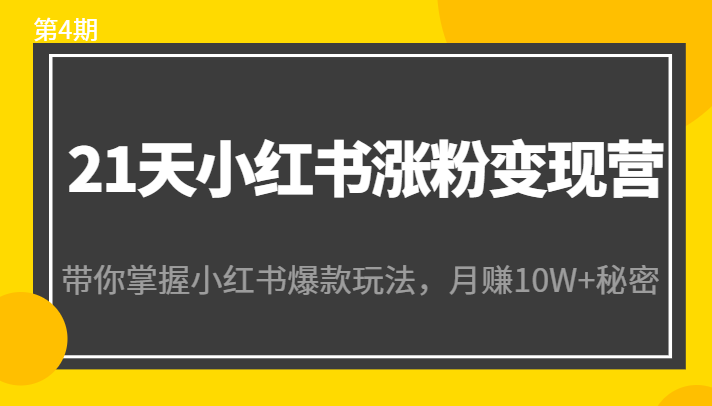 21天小红书涨粉变现营（第4期）：带你掌握小红书爆款玩法，月赚10W+秘密-小齐资源库
