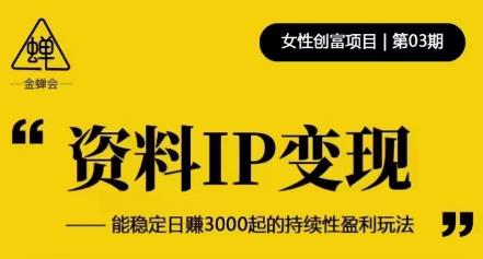 资料IP变现，能稳定日赚3000起的持续性盈利玩法-小齐资源库