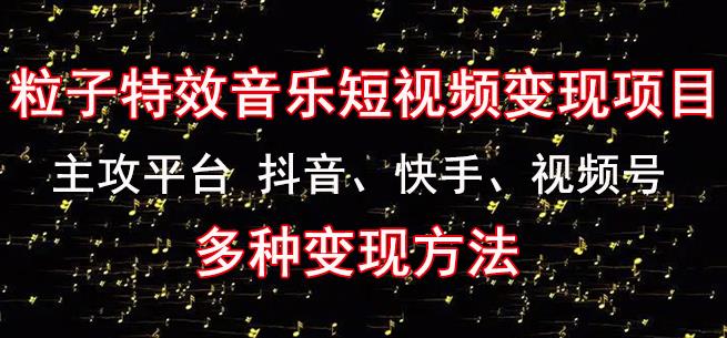 黄岛主《粒子特效音乐短视频变现项目》主攻平台抖音、快手、视频号多种变现方法-小齐资源库